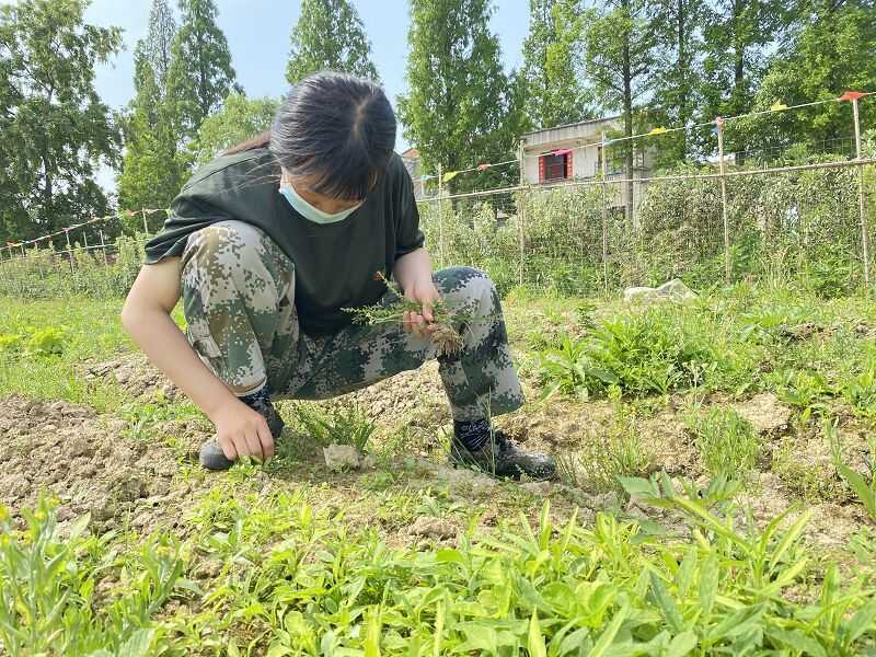 湖南长沙有特殊教育学校吗?(图2)